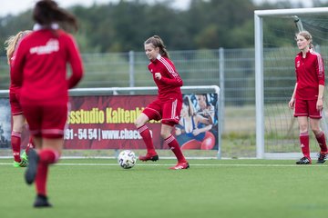 Bild 91 - F FSG Kaltenkirchen - SV Wahlstedt : Ergebnis: 6:1